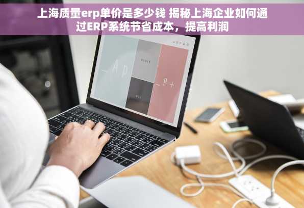 上海质量erp单价是多少钱 揭秘上海企业如何通过ERP系统节省成本，提高利润