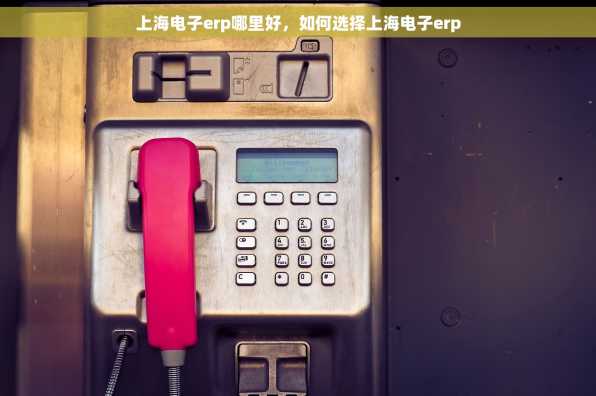 上海电子erp哪里好，如何选择上海电子erp