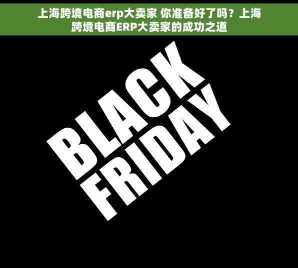 上海跨境电商erp大卖家 你准备好了吗？上海跨境电商ERP大卖家的成功之道