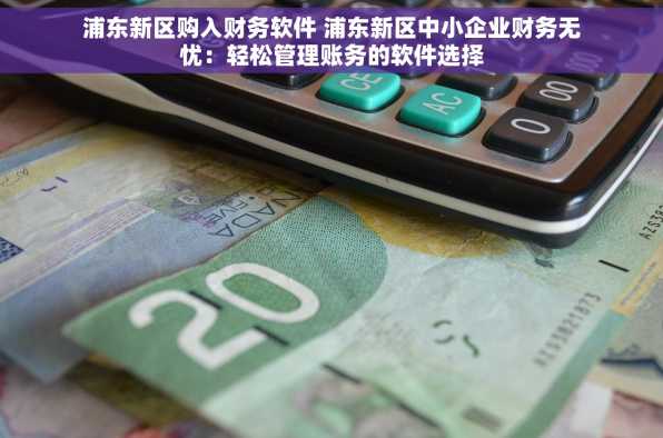 浦东新区购入财务软件 浦东新区中小企业财务无忧：轻松管理账务的软件选择