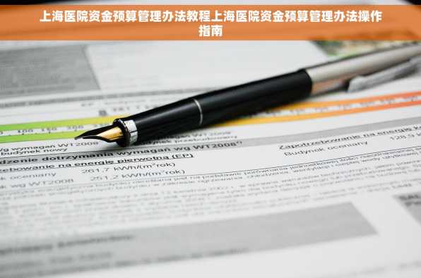 上海医院资金预算管理办法教程上海医院资金预算管理办法操作指南
