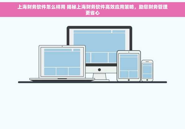 上海财务软件怎么样用 揭秘上海财务软件高效应用策略，助您财务管理更省心