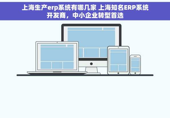 上海生产erp系统有哪几家 上海知名ERP系统开发商，中小企业转型首选