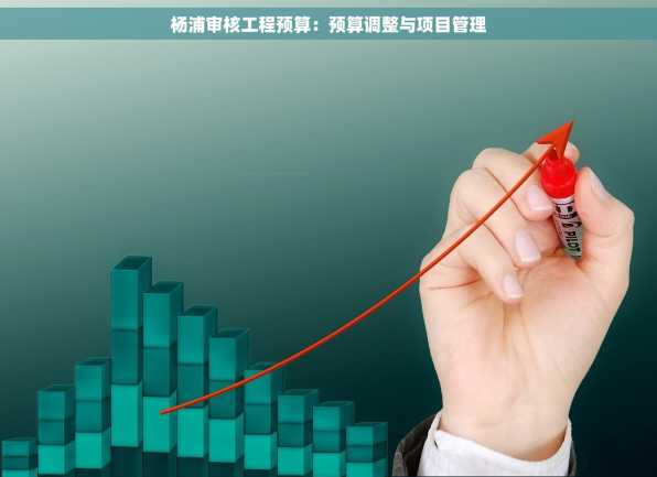 杨浦审核工程预算：预算调整与项目管理