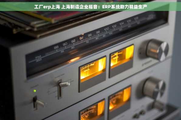 工厂erp上海 上海制造企业福音：ERP系统助力精益生产