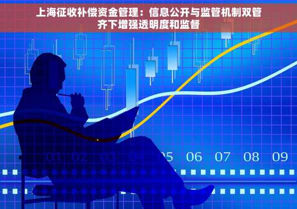 上海征收补偿资金管理：信息公开与监管机制双管齐下增强透明度和监督