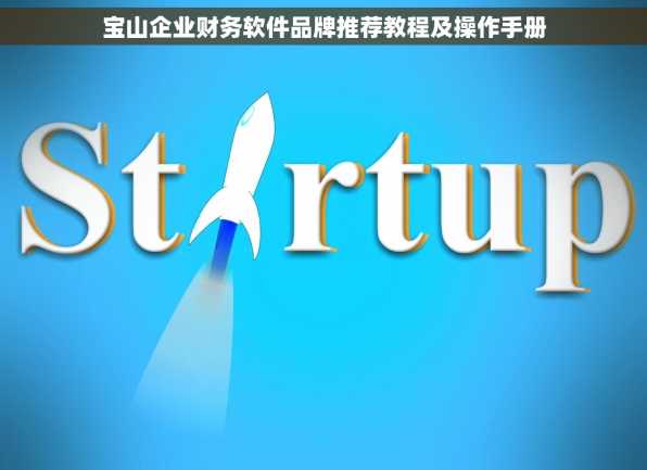 宝山企业财务软件品牌推荐教程及操作手册