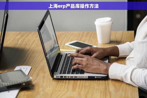 上海erp产品库操作方法