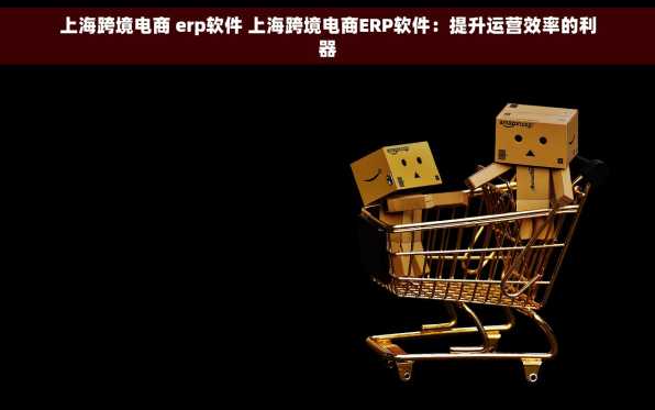 上海跨境电商 erp软件 上海跨境电商ERP软件：提升运营效率的利器