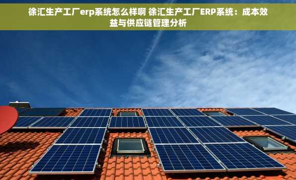 徐汇生产工厂erp系统怎么样啊 徐汇生产工厂ERP系统：成本效益与供应链管理分析