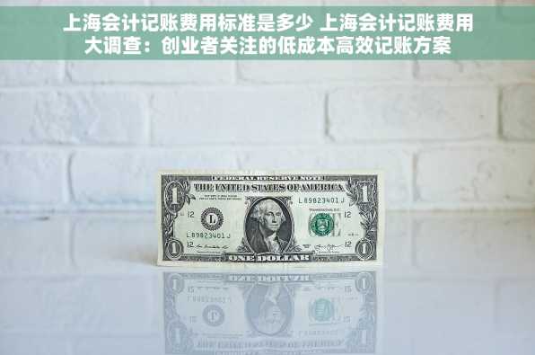 上海会计记账费用标准是多少 上海会计记账费用大调查：创业者关注的低成本高效记账方案