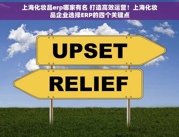 上海化妆品erp哪家有名 打造高效运营！上海化妆品企业选择ERP的四个关键点