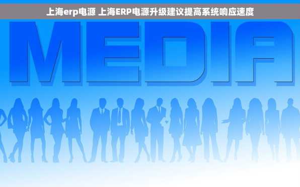 上海erp电源 上海ERP电源升级建议提高系统响应速度