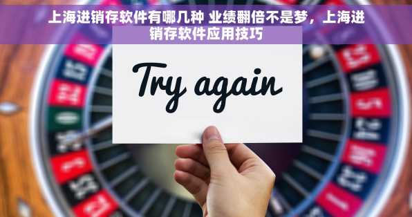 上海进销存软件有哪几种 业绩翻倍不是梦，上海进销存软件应用技巧