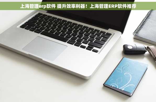 上海管理erp软件 提升效率利器！上海管理ERP软件推荐