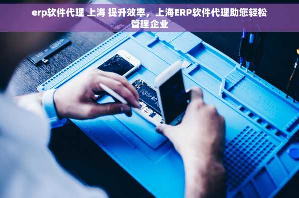 erp软件代理 上海 提升效率，上海ERP软件代理助您轻松管理企业