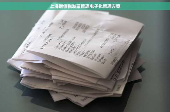 上海增值税发票管理电子化管理方案