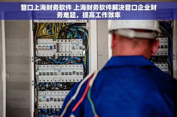 营口上海财务软件 上海财务软件解决营口企业财务难题，提高工作效率