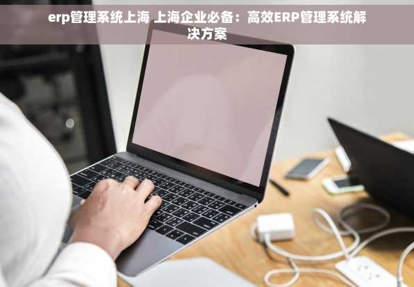 erp管理系统上海 上海企业必备：高效ERP管理系统解决方案