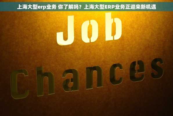 上海大型erp业务 你了解吗？上海大型ERP业务正迎来新机遇