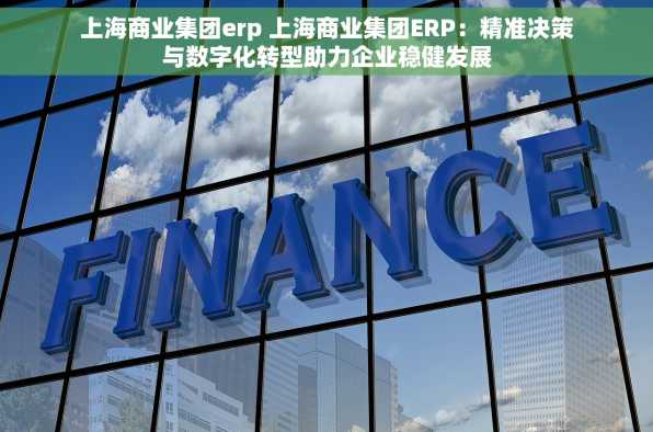 上海商业集团erp 上海商业集团ERP：精准决策与数字化转型助力企业稳健发展
