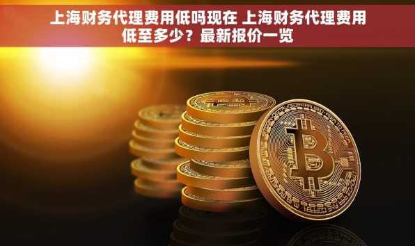 上海财务代理费用低吗现在 上海财务代理费用低至多少？最新报价一览