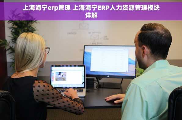 上海海宁erp管理 上海海宁ERP人力资源管理模块详解