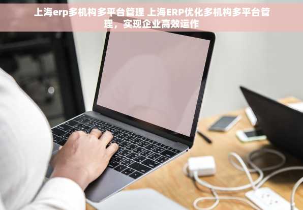 上海erp多机构多平台管理 上海ERP优化多机构多平台管理，实现企业高效运作
