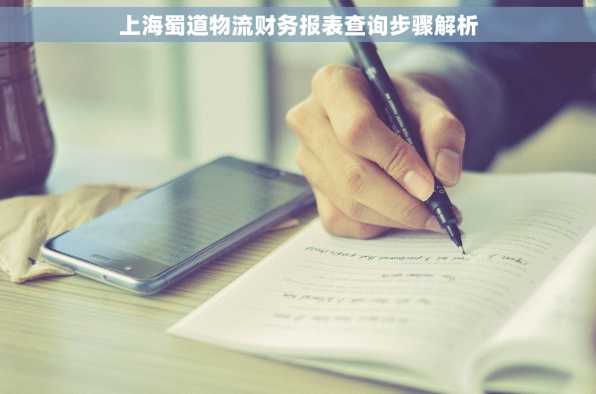 上海蜀道物流财务报表查询步骤解析