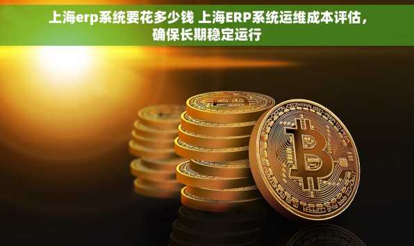 上海erp系统要花多少钱 上海ERP系统运维成本评估，确保长期稳定运行