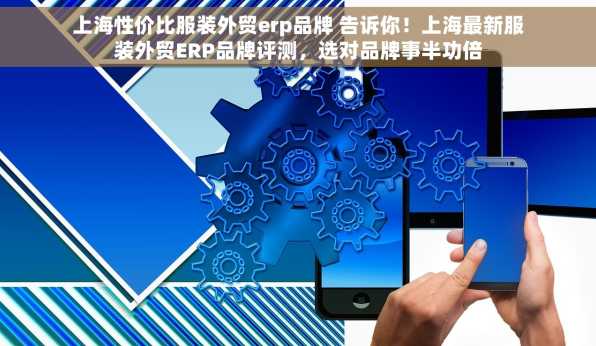 上海性价比服装外贸erp品牌 告诉你！上海最新服装外贸ERP品牌评测，选对品牌事半功倍