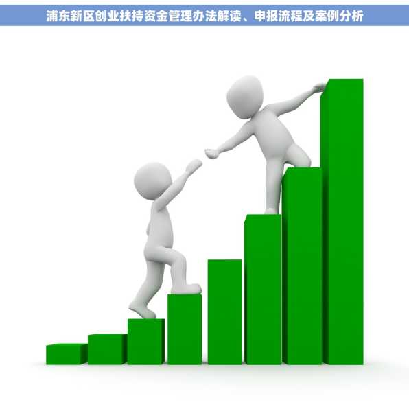 浦东新区创业扶持资金管理办法解读、申报流程及案例分析