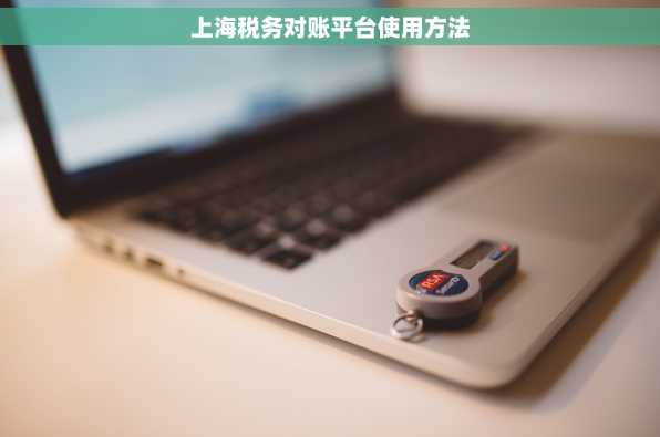 上海税务对账平台使用方法