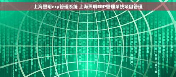 上海照明erp管理系统 上海照明ERP管理系统项目管理
