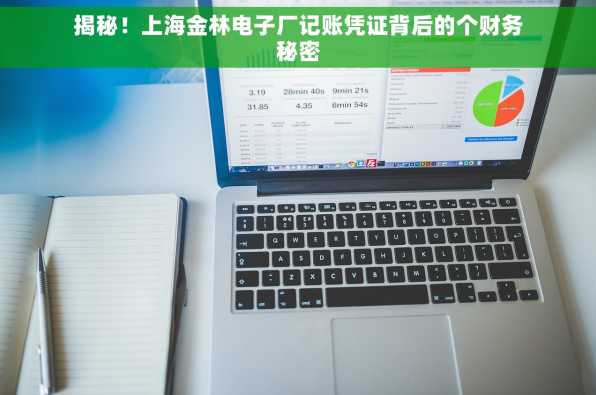 揭秘！上海金林电子厂记账凭证背后的个财务秘密