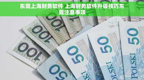 东莞上海财务软件 上海财务软件升级技巧东莞注意事项