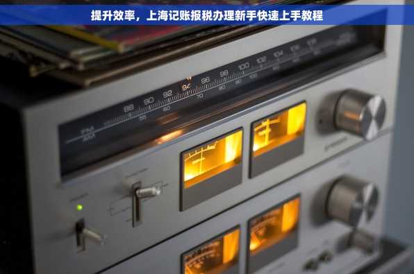提升效率，上海记账报税办理新手快速上手教程