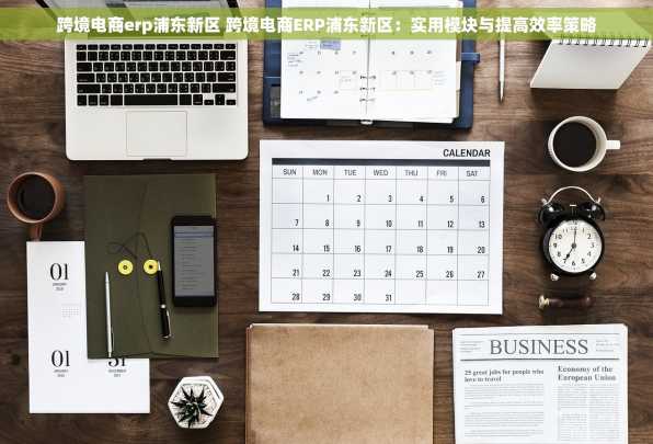 跨境电商erp浦东新区 跨境电商ERP浦东新区：实用模块与提高效率策略