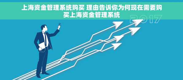 上海资金管理系统购买 理由告诉你为何现在需要购买上海资金管理系统