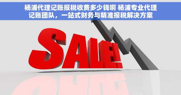 杨浦代理记账报税收费多少钱啊 杨浦专业代理记账团队，一站式财务与精准报税解决方案