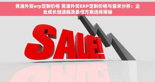 黄浦外贸erp定制价格 黄浦外贸ERP定制价格与需求分析：企业成长加速器及最佳方案选择揭秘