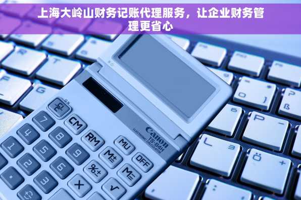 上海大岭山财务记账代理服务，让企业财务管理更省心