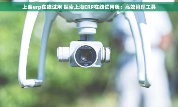 上海erp在线试用 探索上海ERP在线试用版：高效管理工具