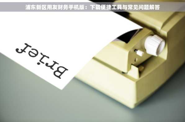 浦东新区用友财务手机版：下载便捷工具与常见问题解答