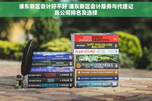 浦东新区会计好不好 浦东新区会计服务与代理记账公司排名及选择