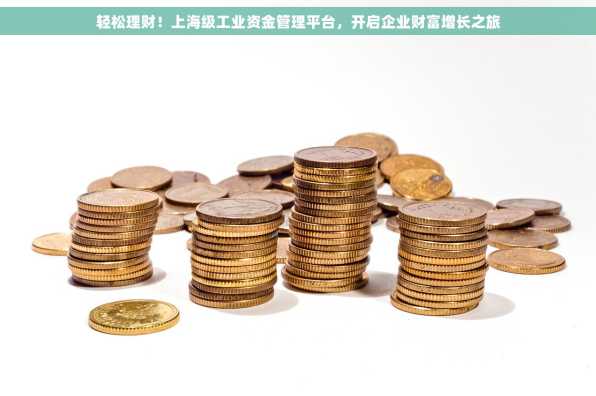 轻松理财！上海级工业资金管理平台，开启企业财富增长之旅