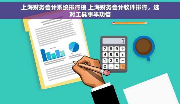 上海财务会计系统排行榜 上海财务会计软件排行，选对工具事半功倍