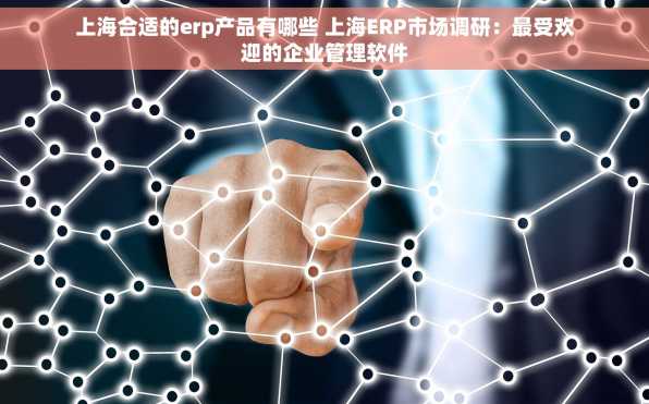 上海合适的erp产品有哪些 上海ERP市场调研：最受欢迎的企业管理软件