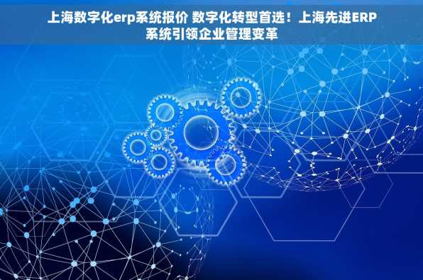 上海数字化erp系统报价 数字化转型首选！上海先进ERP系统引领企业管理变革
