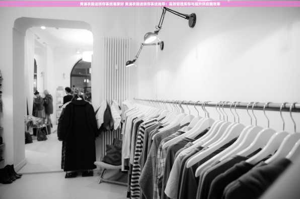 黄浦衣服进销存系统哪家好 黄浦衣服进销存系统推荐：高效管理库存与提升供应商效率